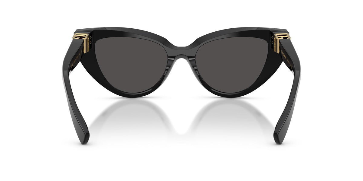Dolce&Gabbana DG4497