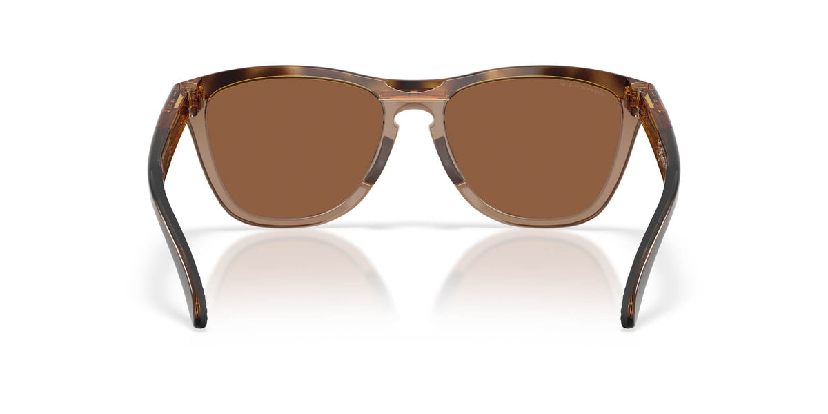 Oakley Frogskins Range Xl OO9503