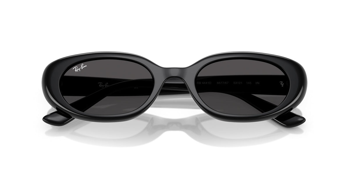 Ray-Ban RB4441D