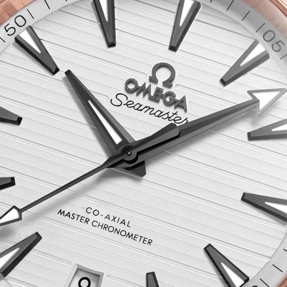 Seamaster Aqua Terra 150M Steel and Sedna™ Gold 41mm - Silver on Rubber Strap