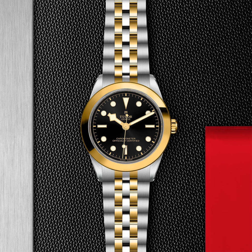 TUDOR Black Bay 39 S&G M79663-0001