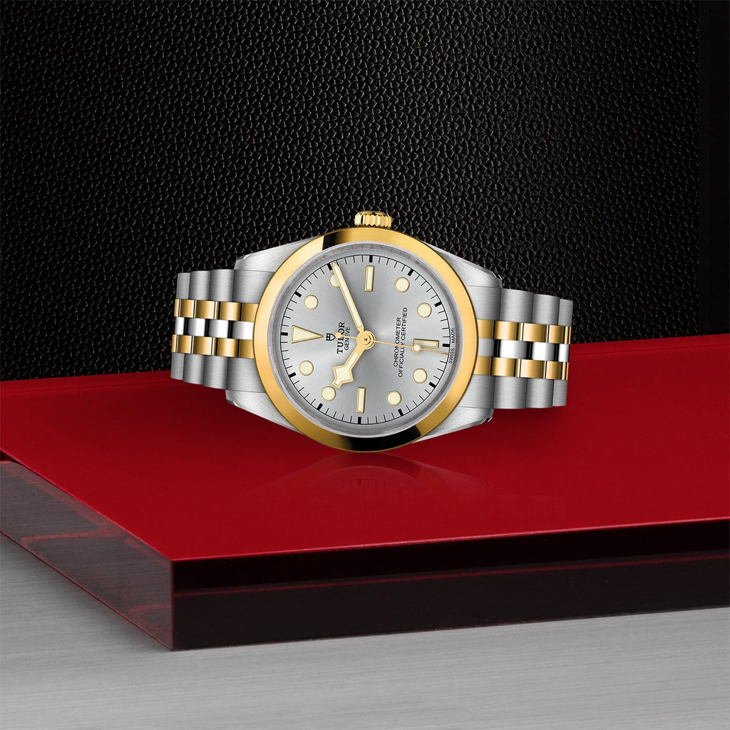 TUDOR Black Bay 36 S&G M79643-0002