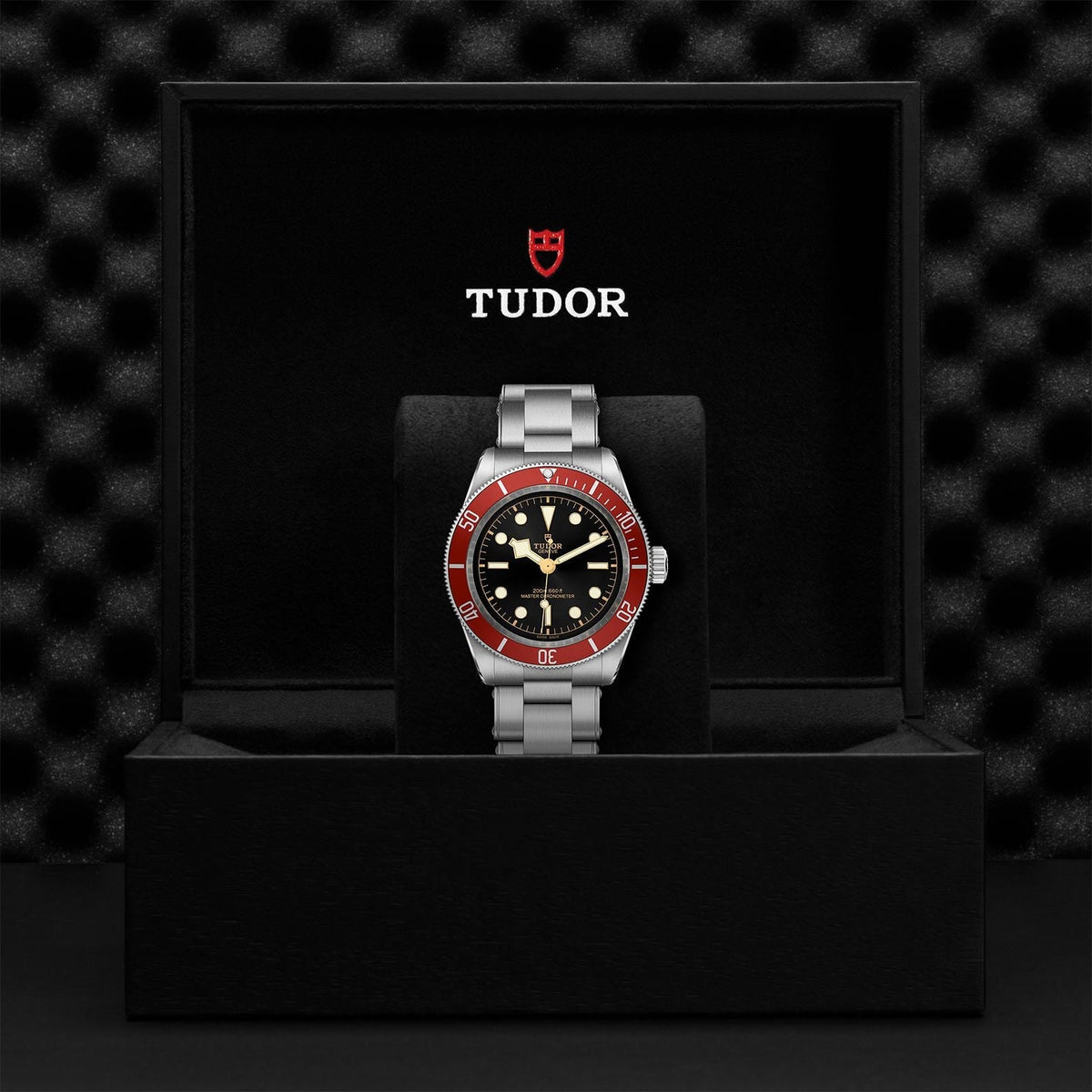 TUDOR Black Bay M7941A1A0RU-0001