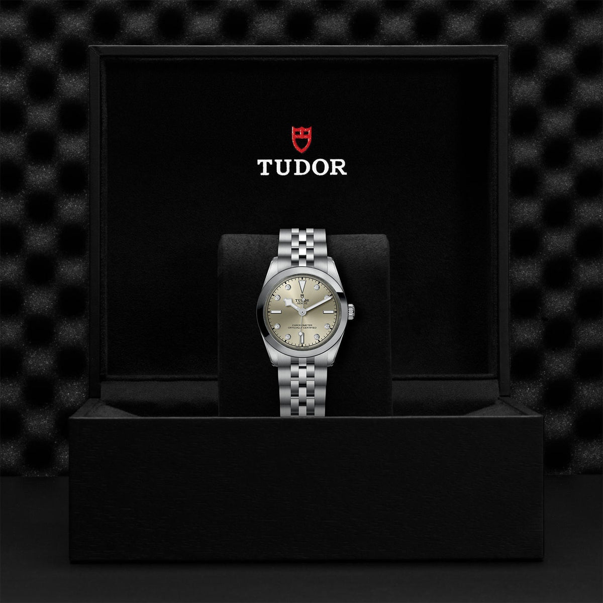 TUDOR Black Bay 31 M79600-0006