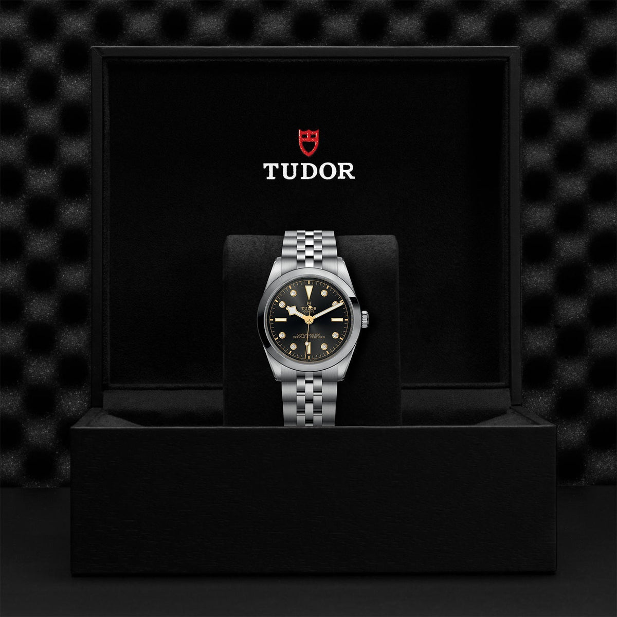 TUDOR Black Bay 36 M79640-0004