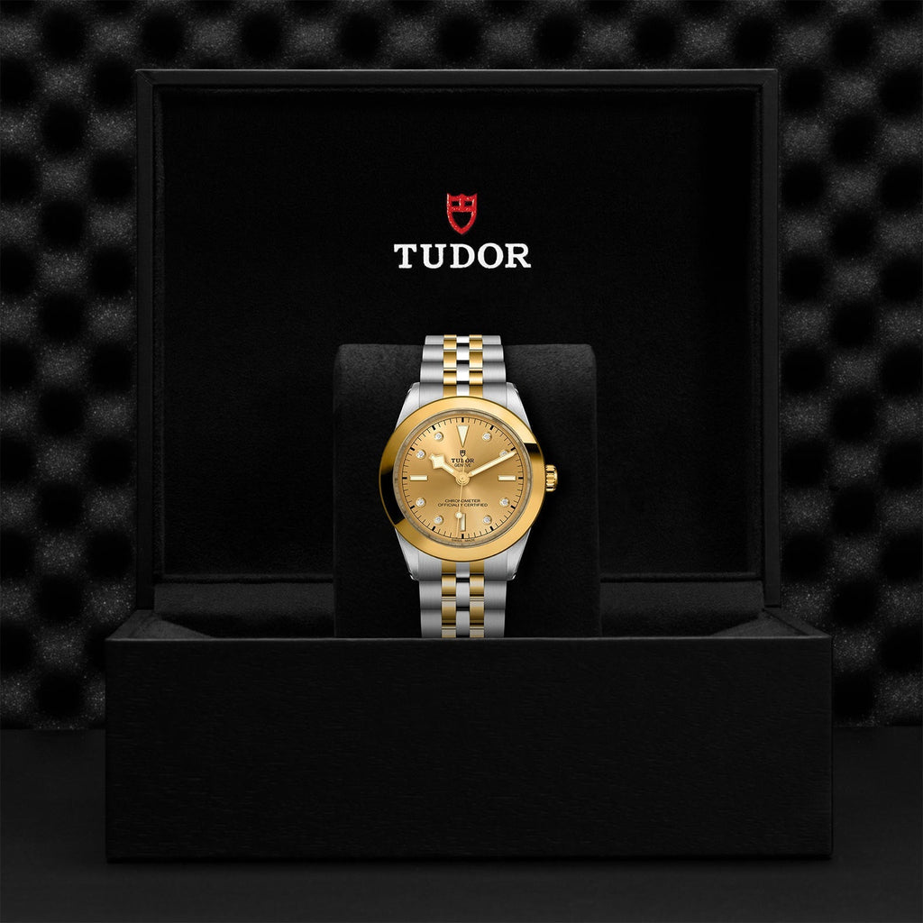 TUDOR Black Bay 39 S&G M79663-0008