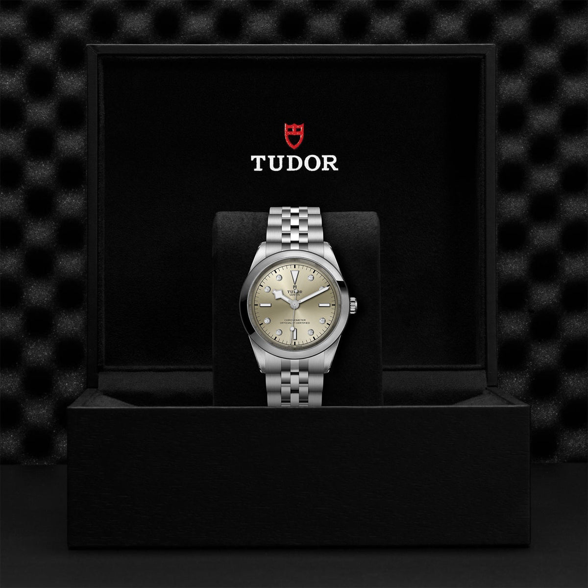 TUDOR Black Bay 41 M79680-0006