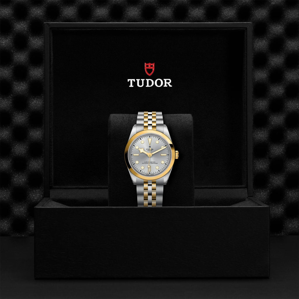 TUDOR Black Bay 36 S&G M79643-0002