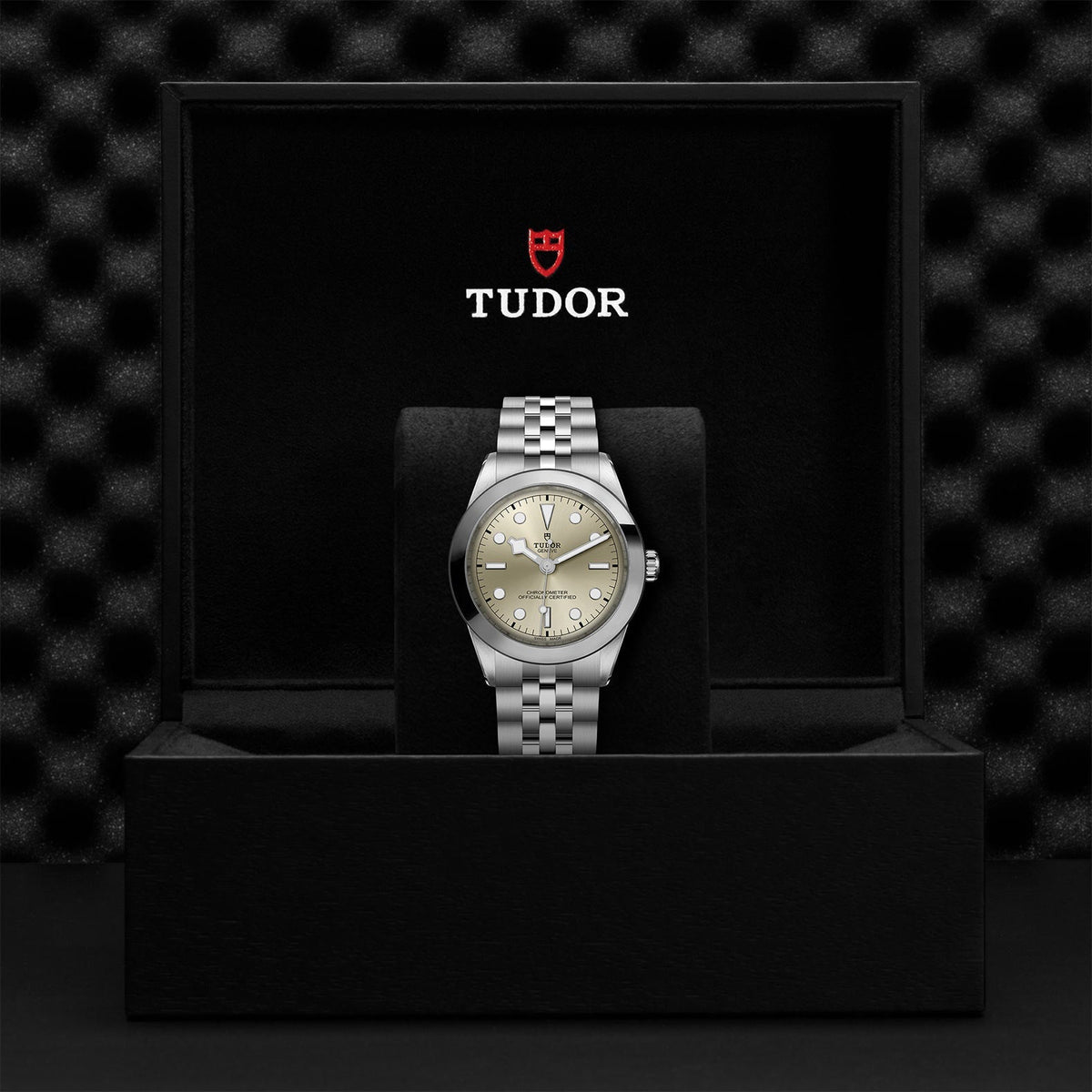 TUDOR Black Bay 39 M79660-0003