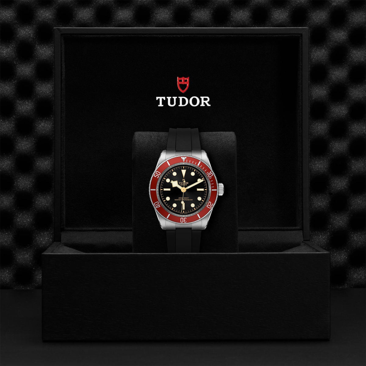 TUDOR Black Bay M7941A1A0RU-0002