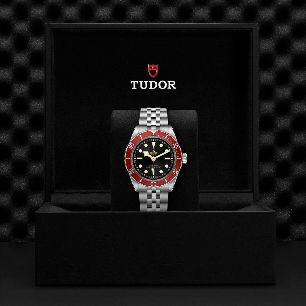 TUDOR Black Bay M7941A1A0RU-0003
