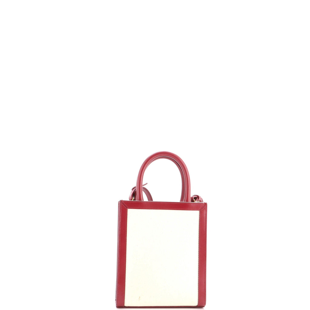 Vertical Cabas Tote Canvas with Leather Mini