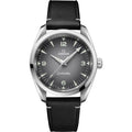 Omega 235.12.38.20.06.001 Railmaster on Leather Strap