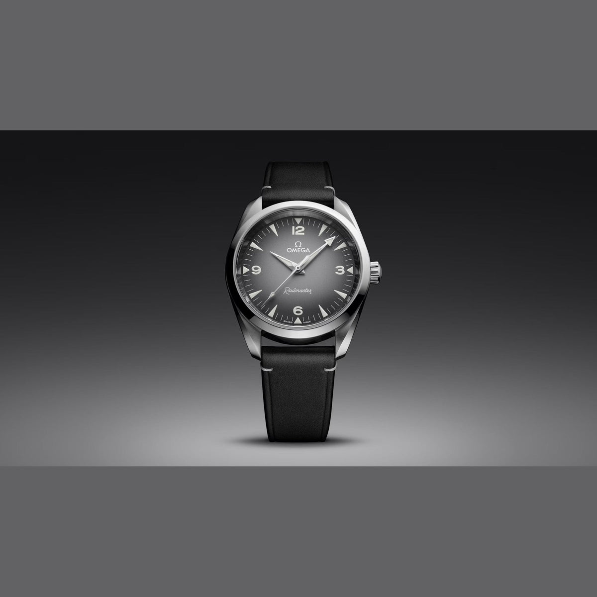 Omega 235.12.38.20.06.001 Railmaster on Leather Strap