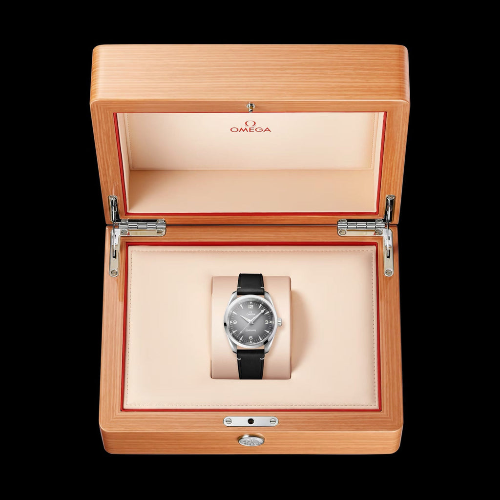 Omega 235.12.38.20.06.001 Railmaster on Leather Strap