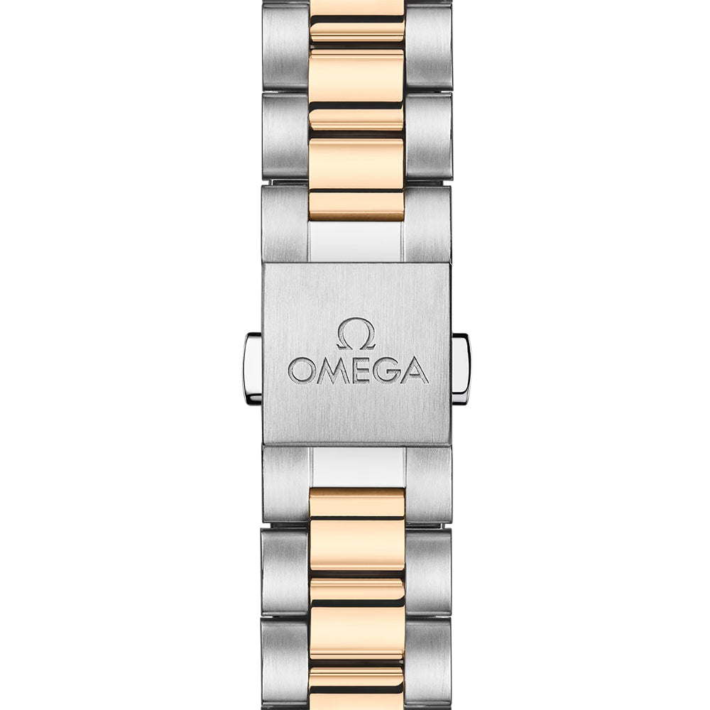 Seamaster Aqua Terra 150M Two-Tone 30mm - Silver on Bracelet