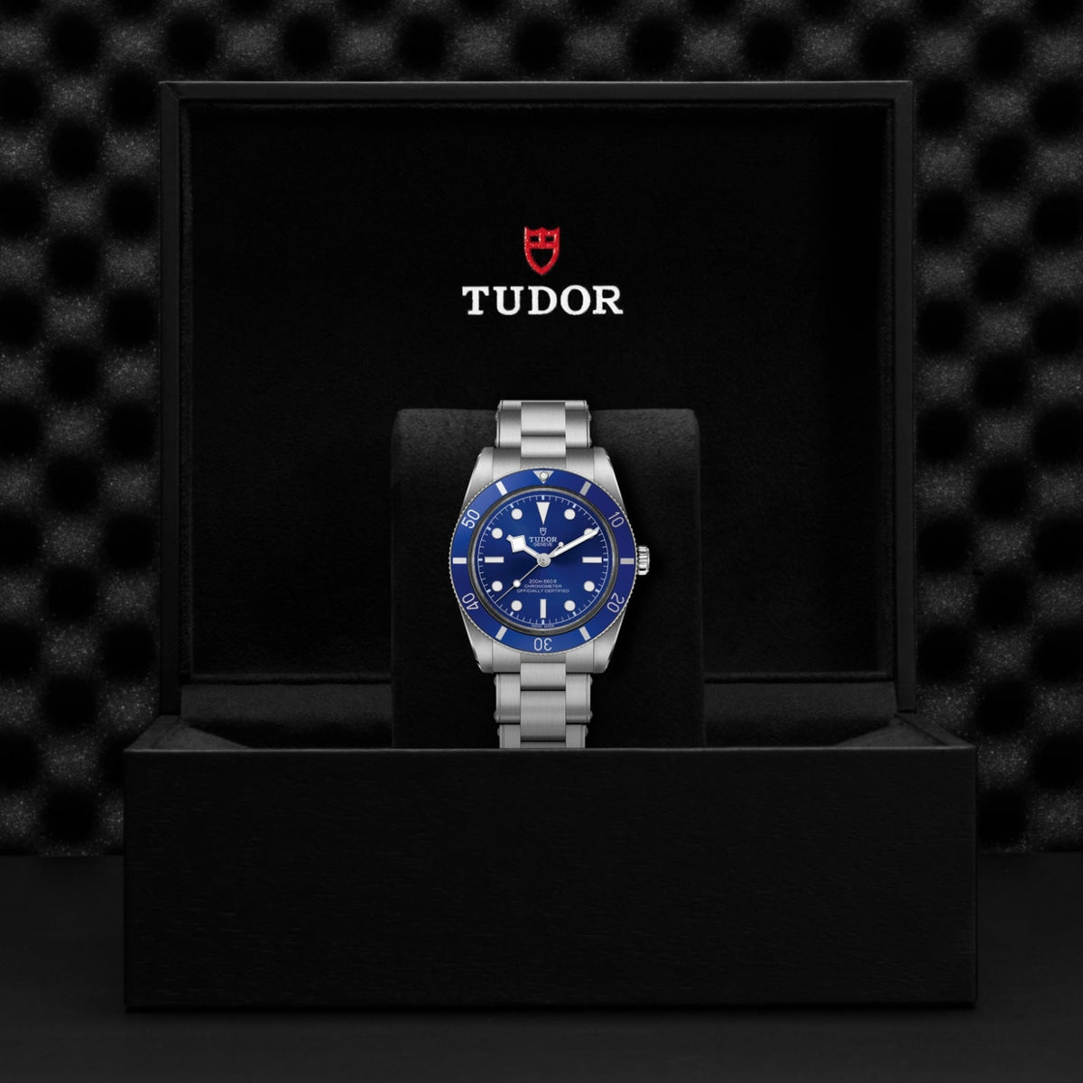 TUDOR Black Bay 54 M79000B-0001