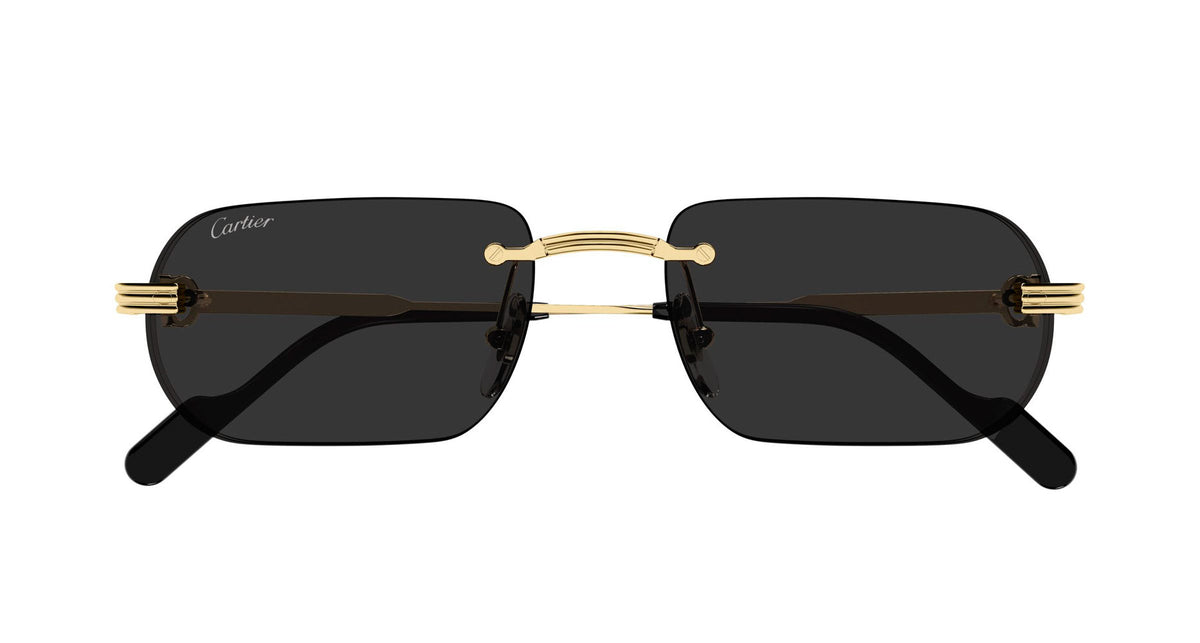 Cartier CT0577S