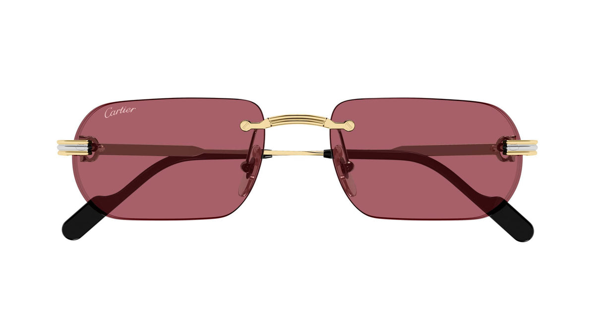 Cartier CT0577S