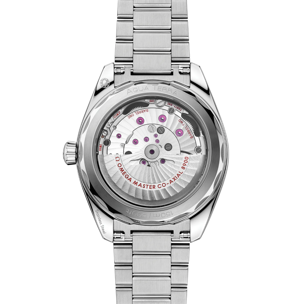 Omega Seamaster Aqua Terra 220.10.41.21.02.005