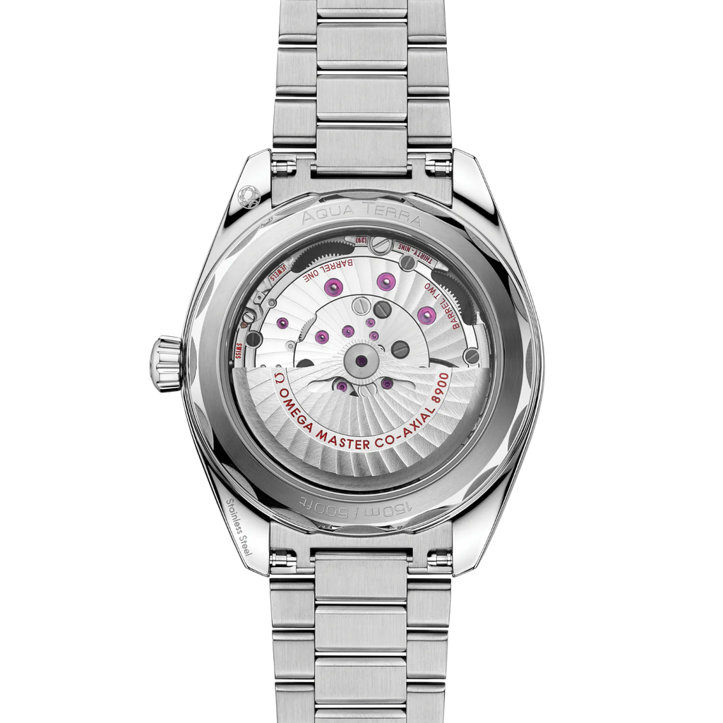 Omega Seamaster Aqua Terra 220.10.41.21.10.002