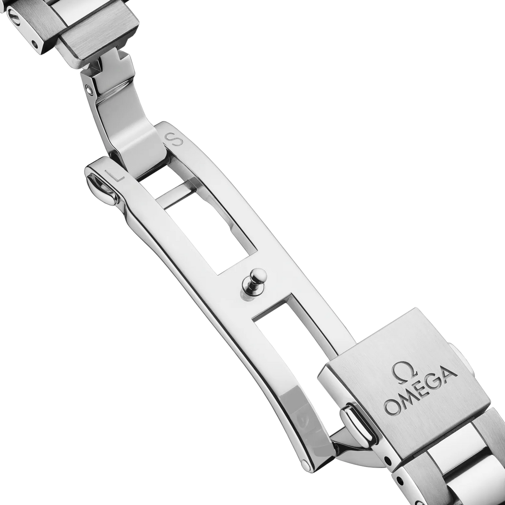 Omega Seamaster Aqua Terra 220.10.41.21.10.002