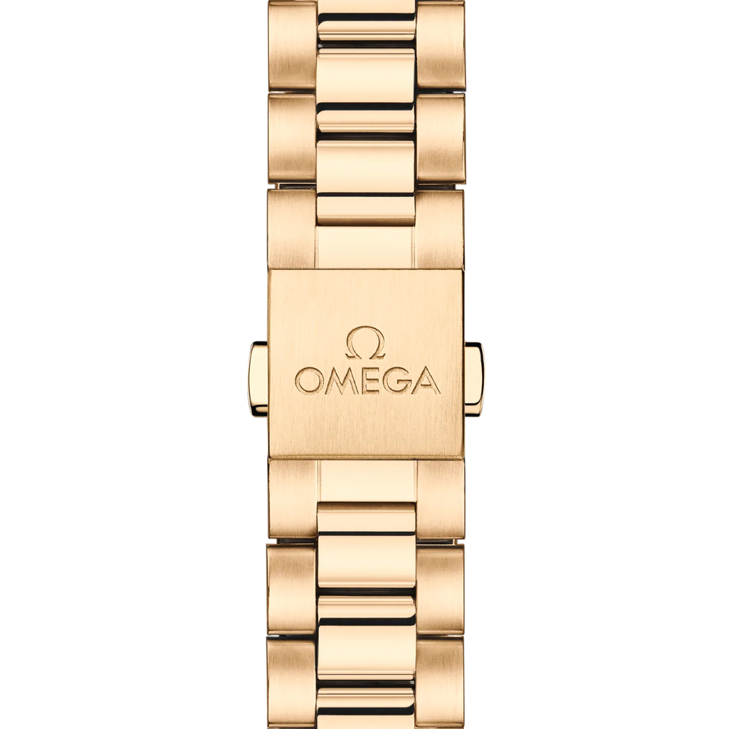 Omega Seamaster Aqua Terra 150M 220.50.41.21.02.004