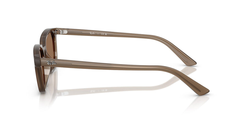 Ray-Ban Zaya RB4456