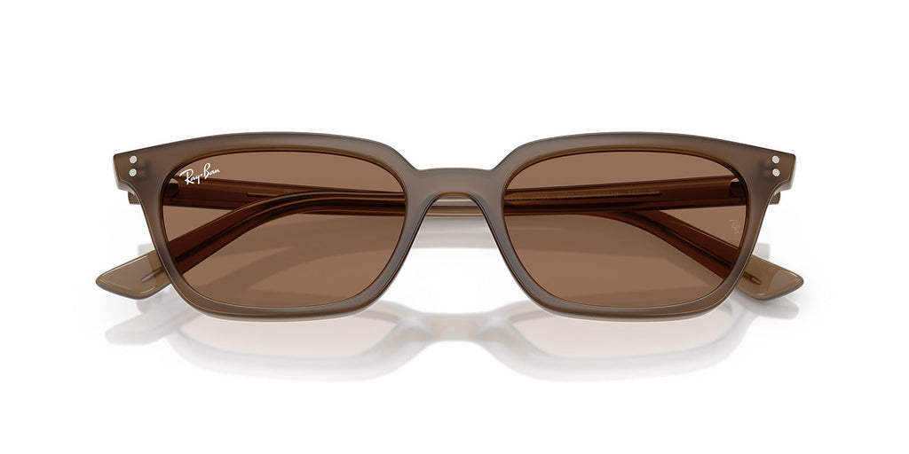 Ray-Ban Zaya RB4456